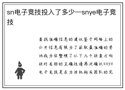 sn电子竞技投入了多少—snye电子竞技